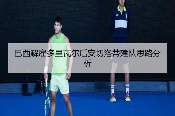 ba-xi-jie-gu-duo-li-wa-er-hou-an-qie-luo-di-jian-dui-si-lu-fen-xi-2-293.jpg