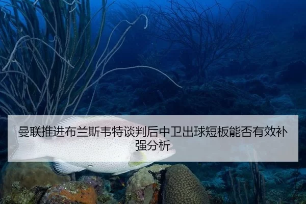 曼联推进布兰斯韦特谈判后中卫出球短板能否有效补强分析